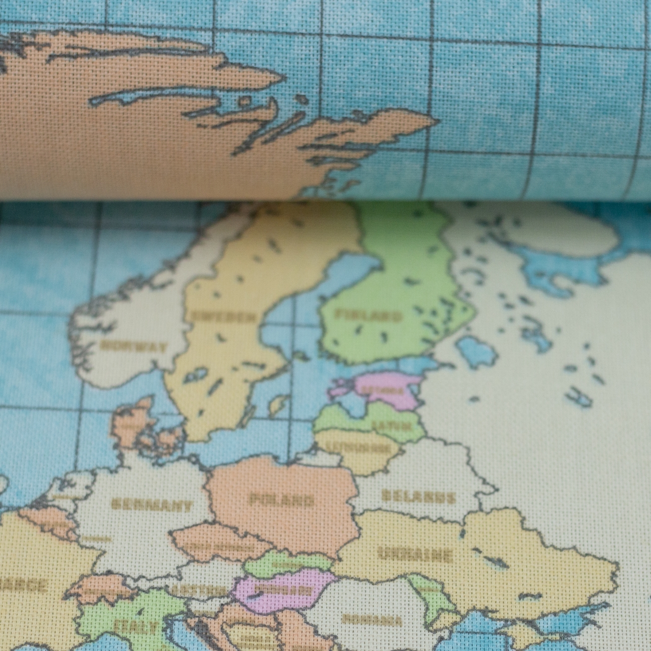 Canvas Swafing Weltkarte